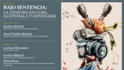 Las declaraciones en apoyo al rapero cubano Denis Solís